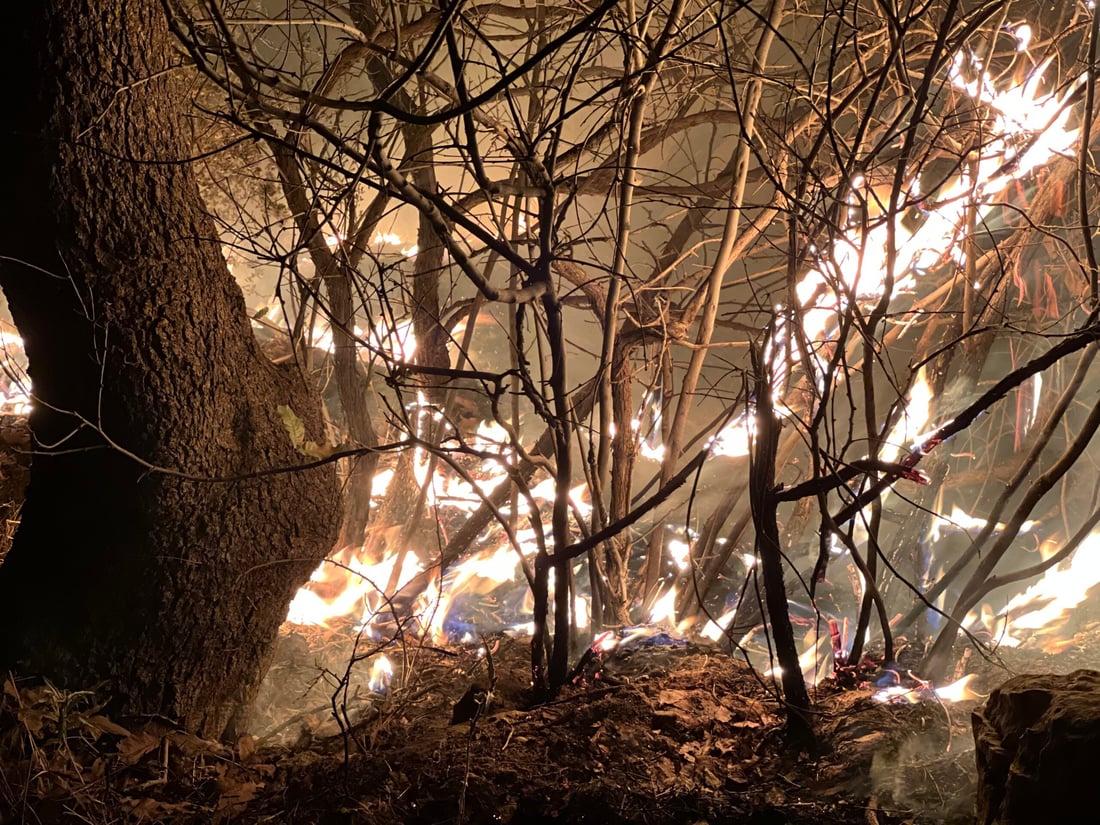 <?php echo get_the_title() ?>