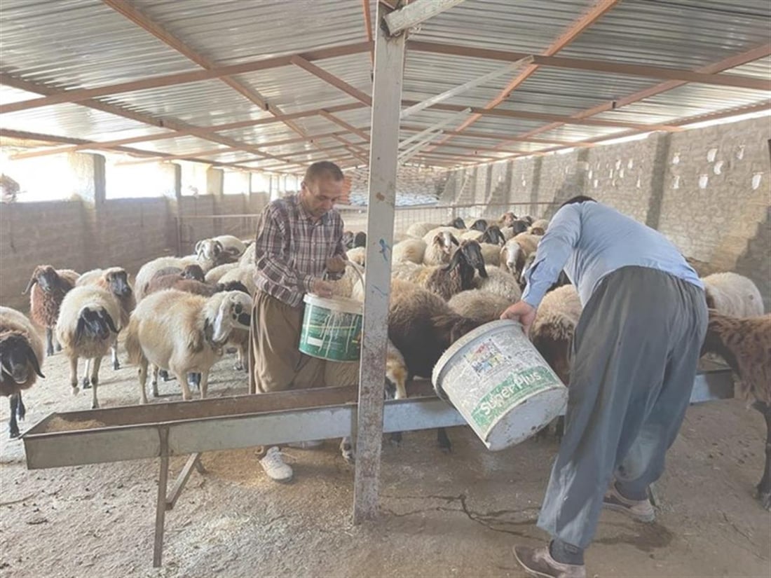 صورة من موقع منظمة Avsi