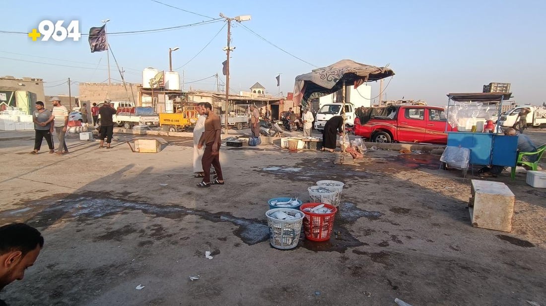 الزبيدي بـ35 ألف دينار.. قائمة صباحية بأسعار السمك في مزاد الفاو لهذا اليوم