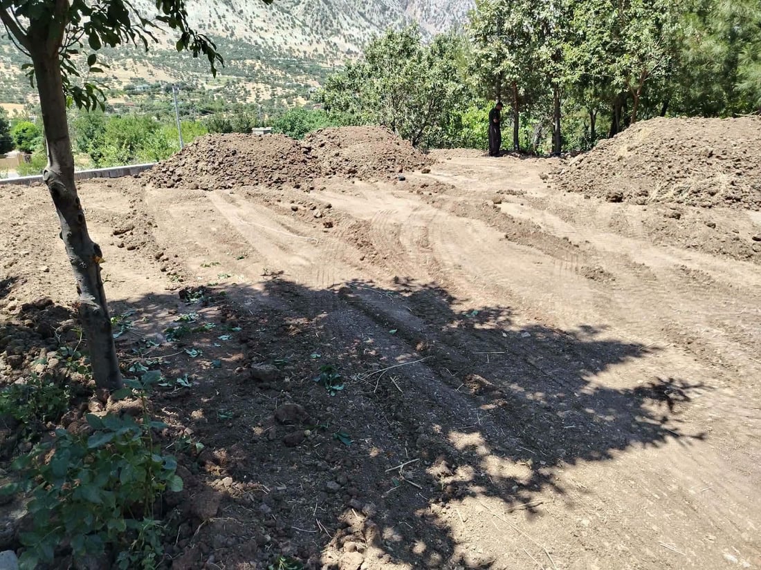داربەڕووەکان لە شوێنێک دەبڕدرێنەوە و لە شوێنێکی دیکە دەسووتێن