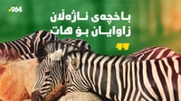 باخچەی ئاژەڵان زاوایان بۆ هات 