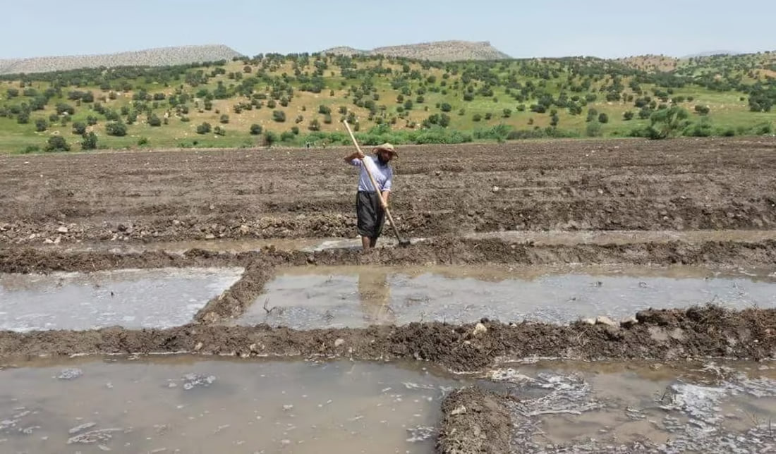 Iraq’s government allocates 25 billion dinars for maintenance of water resources