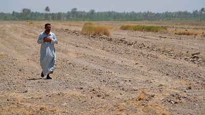 Highs of 47°C in the south as northwesterly winds raise dust across Iraq