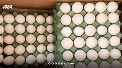 قایمقامیەتی سلێمانی هێلکەی بێ بەروار لەناو دەبات