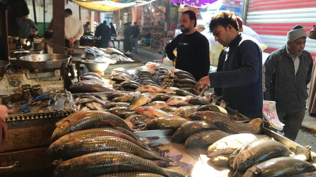 بحري النقعة ونهري البصرة القديمة.. الأسماك أغلى اليوم في سوق الزبير (صور)