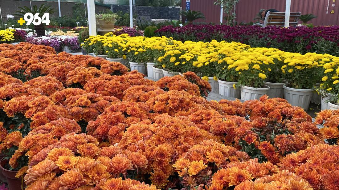 [PHOTOS] Nasiriyah flower exhibition encourages locals to pick up gardening