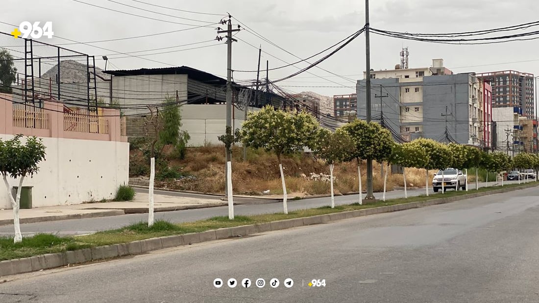 شارەوانی دارەكان رەنگ دەكات