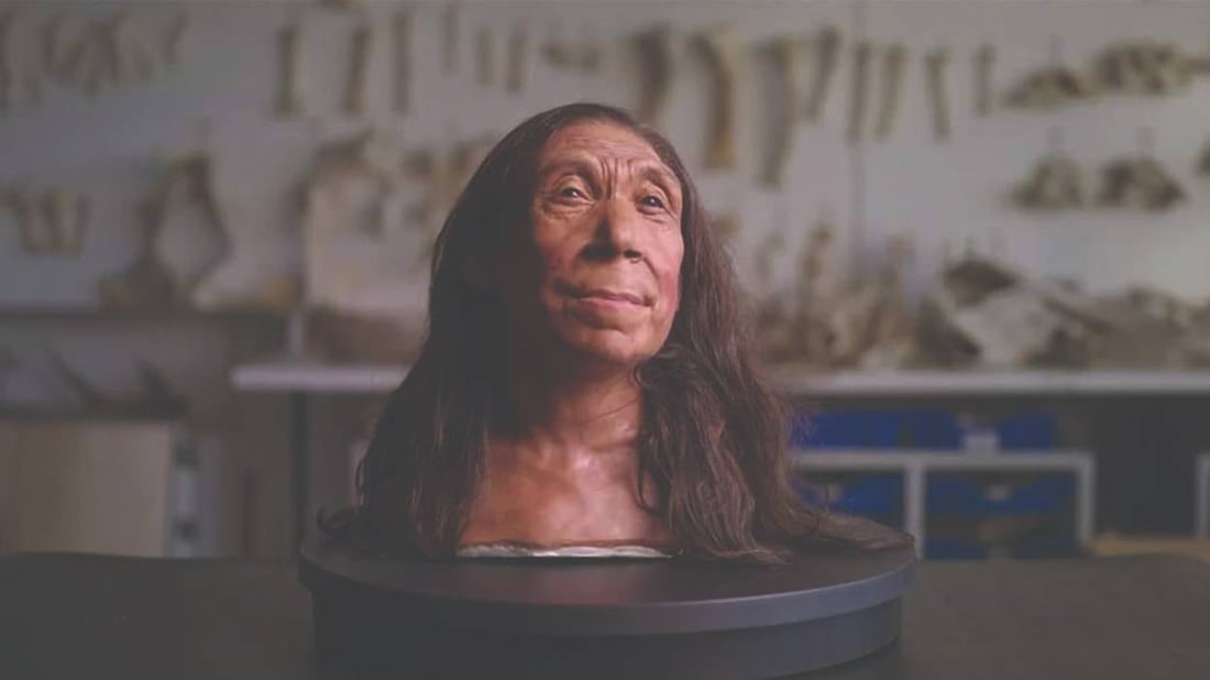 964mediaصورة من منصة (شبكة): 