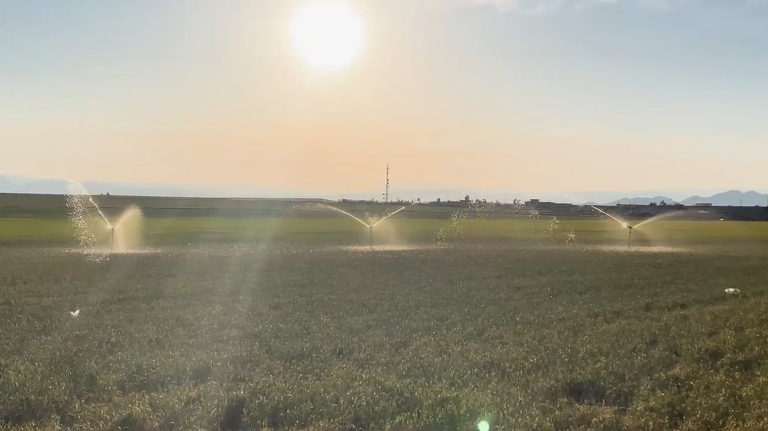 کەمبارانى رەنجى جوتیاران بەخەسار دەبات