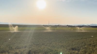 کەمبارانى رەنجى جوتیاران بەخەسار دەبات