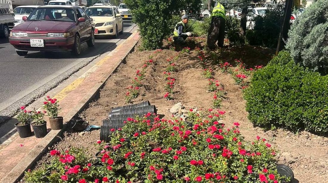 بلواری مەلیک مەحمود چاوەڕیی کۆمپانیایە