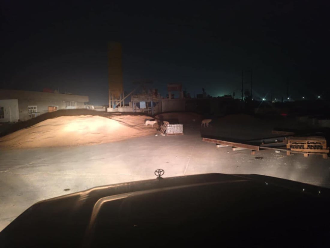 سه‌گى بێلانه‌ له‌ناو گه‌نمى كۆكراوه‌ى جوتیارانى حاجیاوا ته‌ڕاتێن ده‌كات