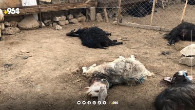 964 راستی رووداوی هێرشکردنە سەر حەسارەکەی بەحرکە دەخاتەڕوو