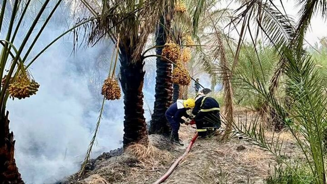 صور: النيران لا تفارق بساتين النخيل في البصرة.. حريق جديد يطال 50 شجرة مثمرة