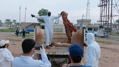 لەبارەی کوشتنی سەگەکانی دوزخورماتوو بە ژەهر پارێزگای سەڵاحەدین لیژنەی پێکهێنا