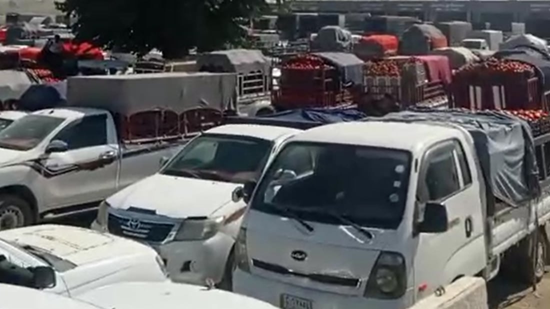 جوتیارانى پێنجوێن گردبوونەوە؛ دژى هێنانى تەماتەى دەرەکى