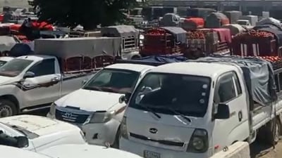 جوتیارانى پێنجوێن گردبوونەوە؛ دژى هێنانى تەماتەى دەرەکى