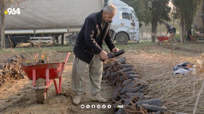 20 هه‌زار نه‌مام له‌ توركیاوه‌ گه‌یشتنه‌ هه‌ولێر