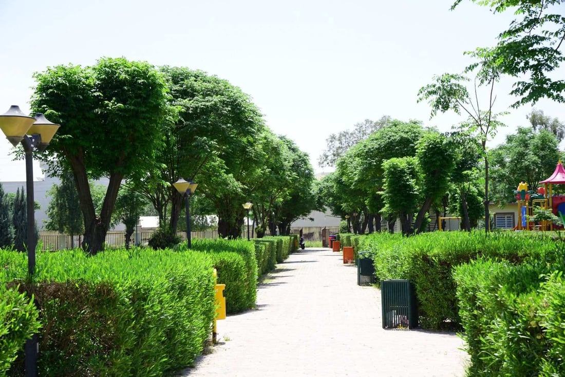 إحصاءات وصور من “أربيل الخضراء”.. زراعة 77 ألف نبتة خلال 120 يوماً