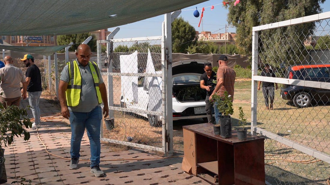 “ببلاش”.. واسط جهزت ربع مليون شجرة ألبيزيا للتوزيع غداً فتوجهوا إلى المشتل