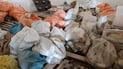 بڕێکی زۆر دەرمانی کشتوکاڵی بەسەرچوو و قەدەغەکراو لەناوبرا
