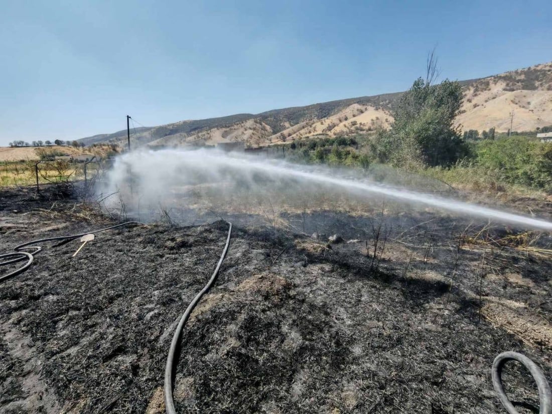 چەند رەزوباغ و لەوەڕگایەک لە سماقوڵی لە سووتان رزگار كران