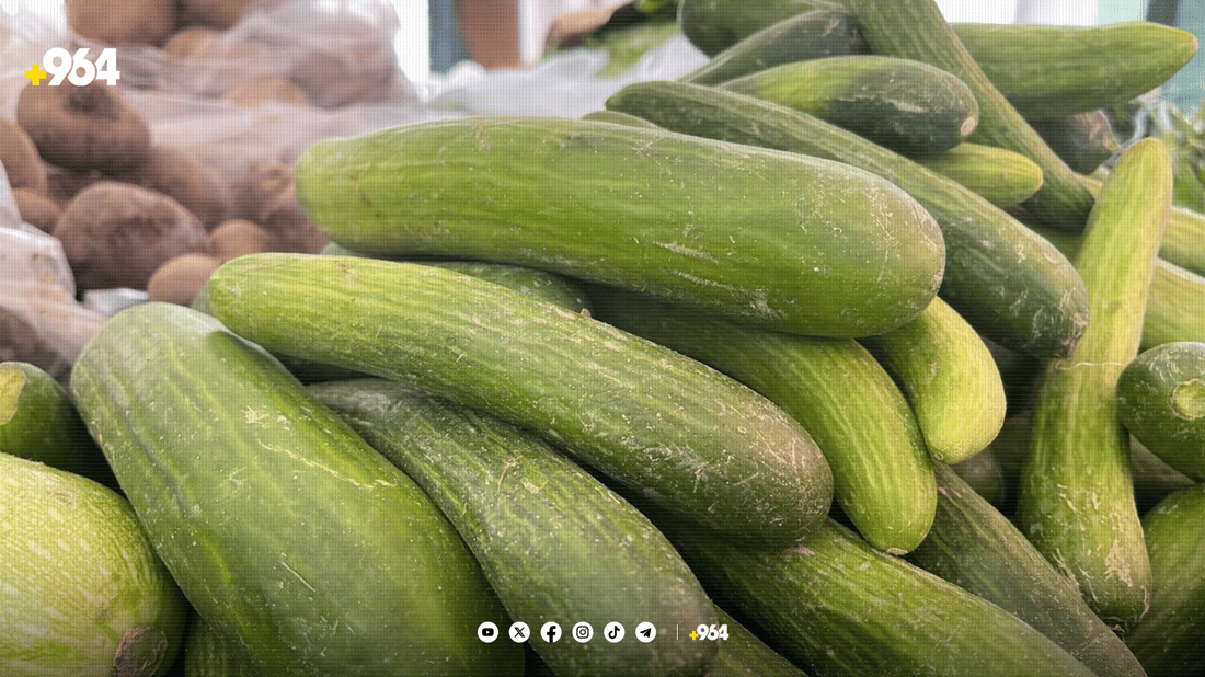 هاوردە یەخەی تەماتە و خەیاری پێنجوێن دەگرێت