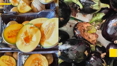 زیاتر لە 24 تۆن کاڵەک و باینجان دەستیبەسەردا گیرا