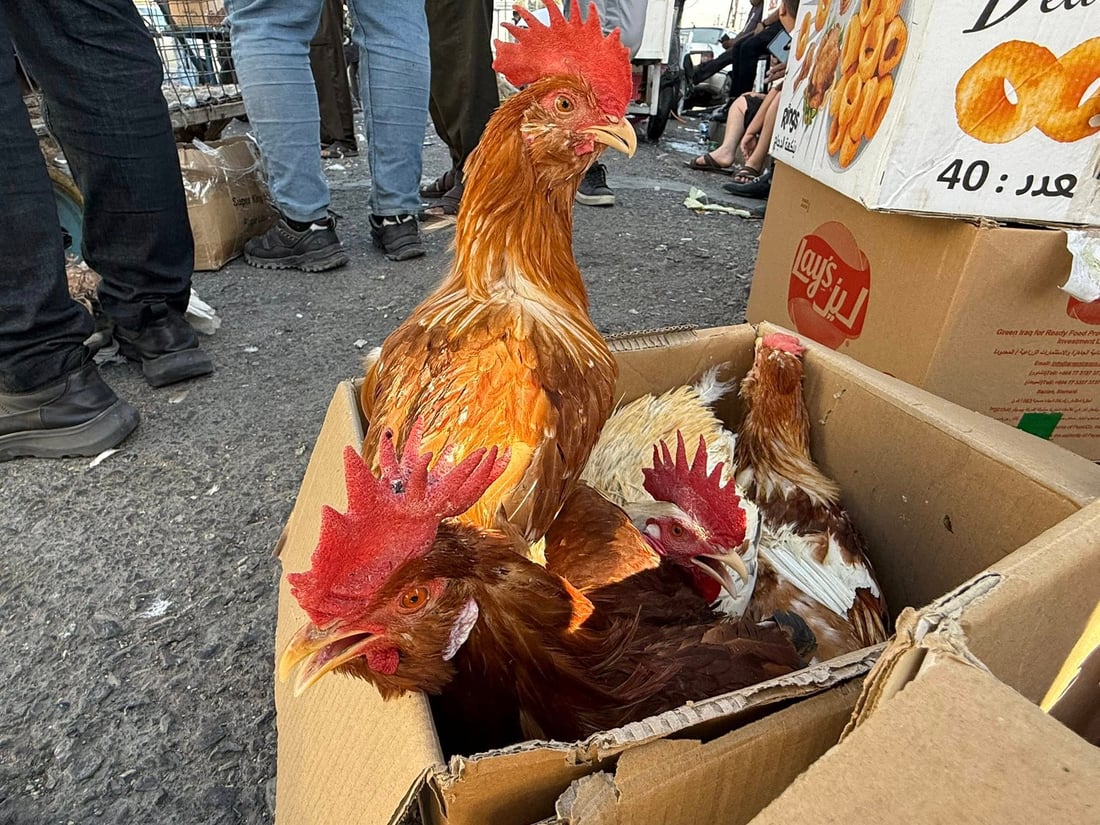 هەینییە و پردی سەیداوەی هەولێر جمەی دێ 