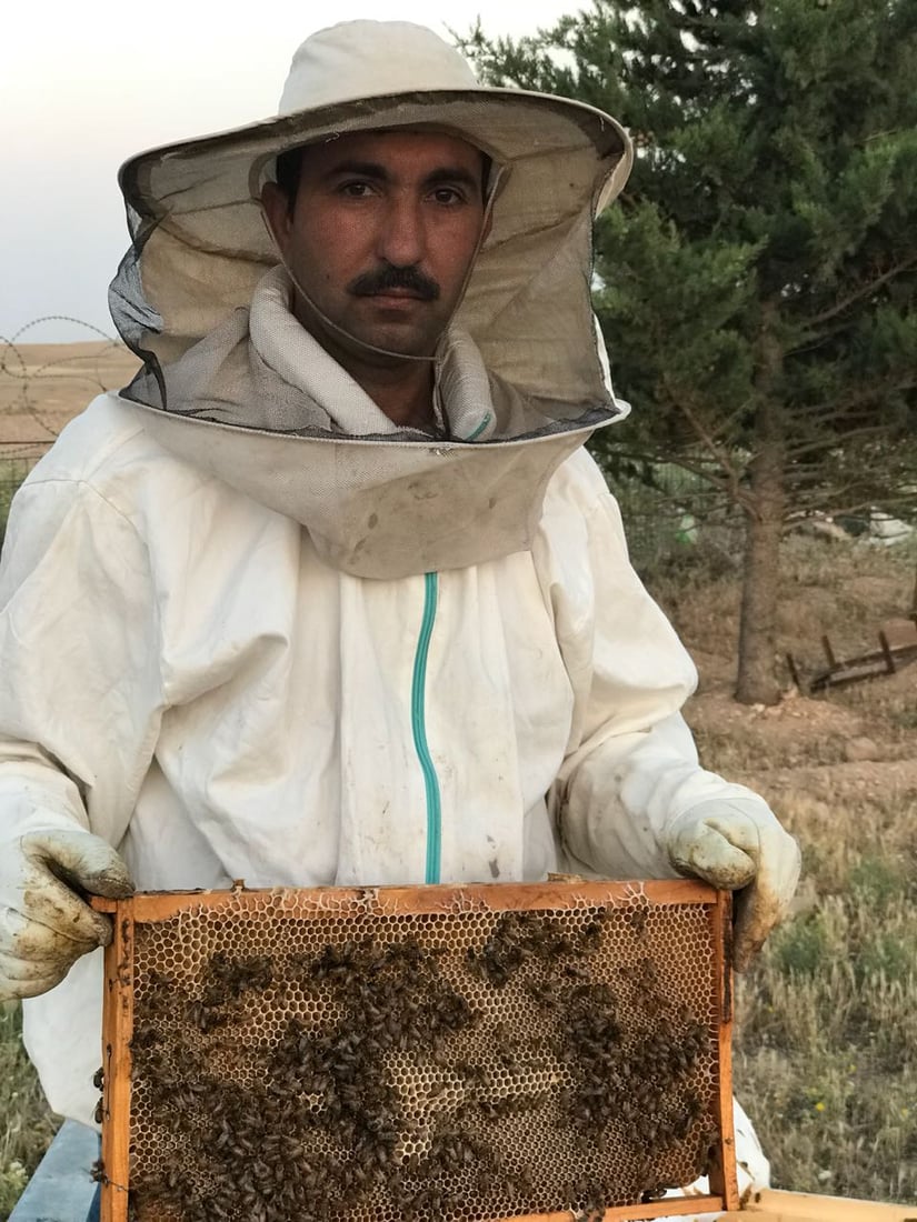 بارانى كه‌م هه‌نگوینى ئه‌مساڵى چیاى شنگالى نه‌هێشتووه‌