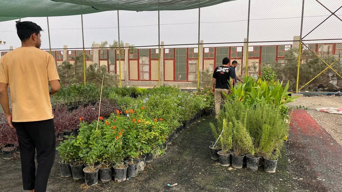 ترك الرياضيات وافتتح أكبر مشتل في كرمة علي.. بصراوي يستثمر 30 مليون دينار