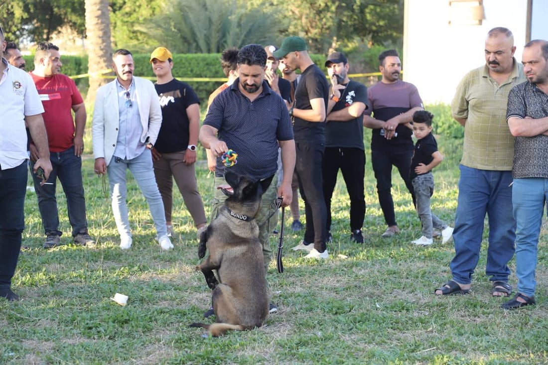 صور: 60 مربياً يستعرضون كلابهم المدربة في واسط.. ممارسة على كشف المخدرات