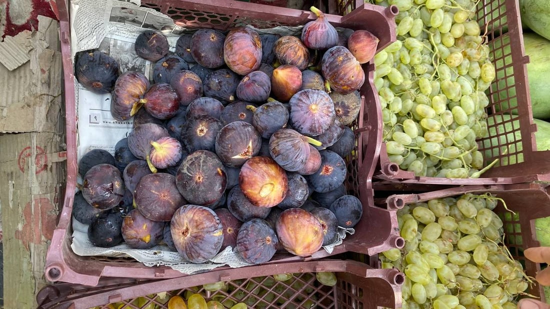 كم تربح؟.. دردشة مع “أبو ستوتة” خضار في البصرة: سيأتينا الريحان مبرداً من أربيل