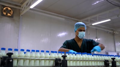 رجل أعمال من ديالى معجب بالكوت.. استثمر أمواله في معمل وبدأ الإنتاج (فيديو)