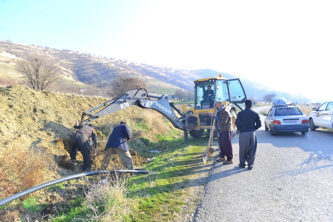 له‌ پێنجوێن 24 هه‌زار دار توو چێندراوه‌