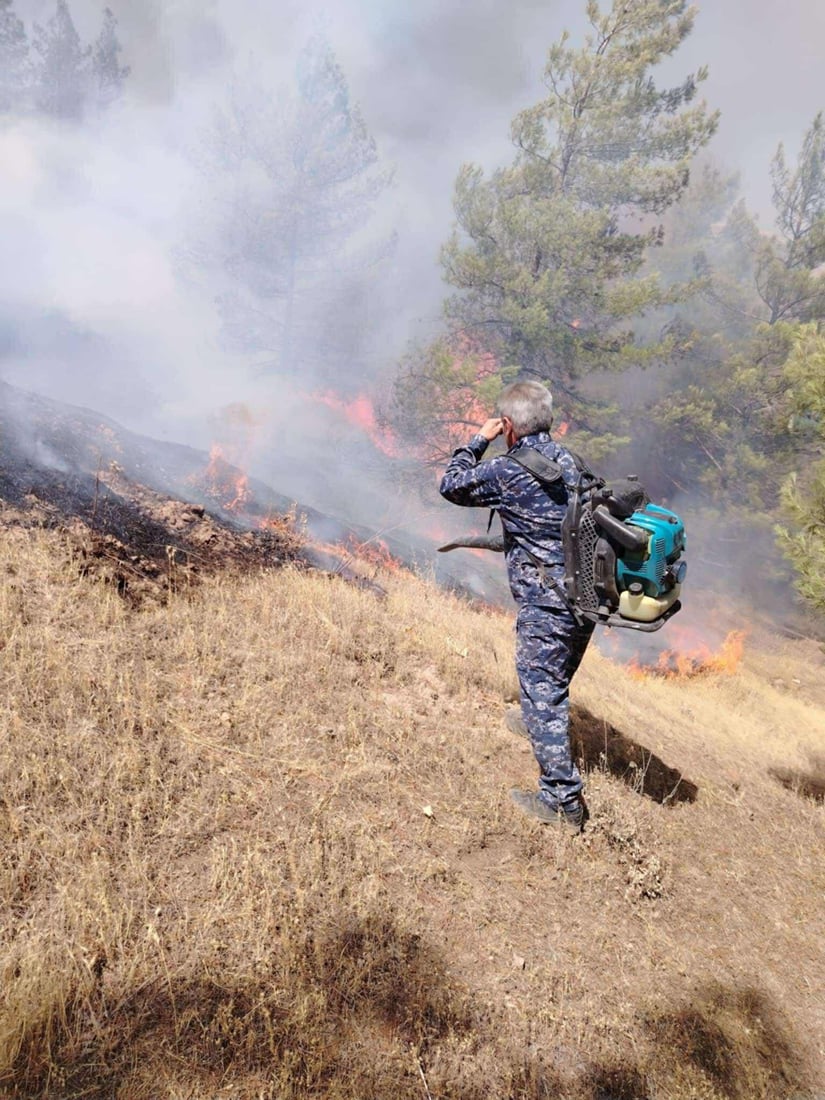 ئاگر بەرۆکی شارباژێر بەرنادات و نزیکەی 1400 دۆنم زەوی سووتاند