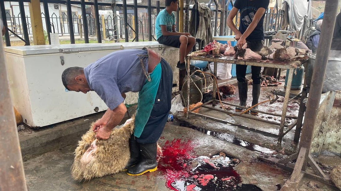 هذا ما يحدث قرب صورة الصدرين في “قطاع 18”.. وهناك من “يحميهم”! (صور)