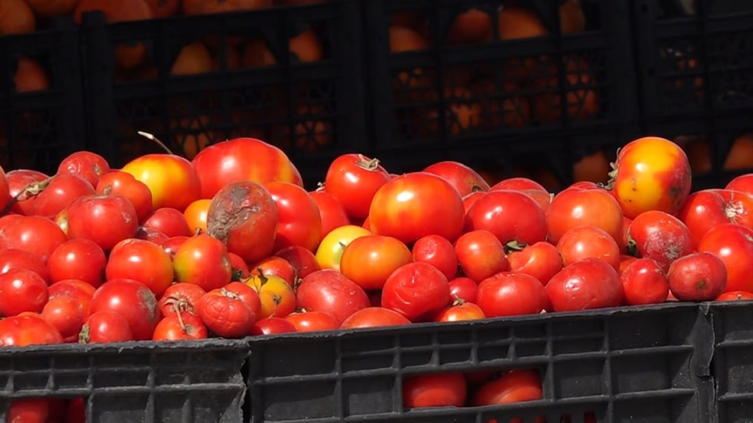 كل شيء متوفر في علوة البصرة.. المستورد والمحلي وصلا في وقت مناسب (صور)