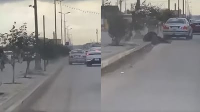 شۆفێرەکە دەستگیرکرا؛ شێتانە لێى خوڕى و هاوڵاتییەکى شێلا