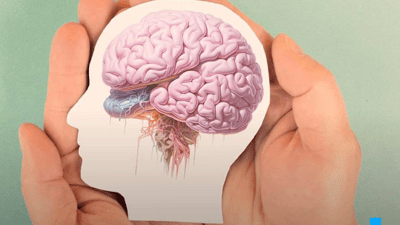 سێ هۆکاری گرنگی نەخۆشی زەهایمەر