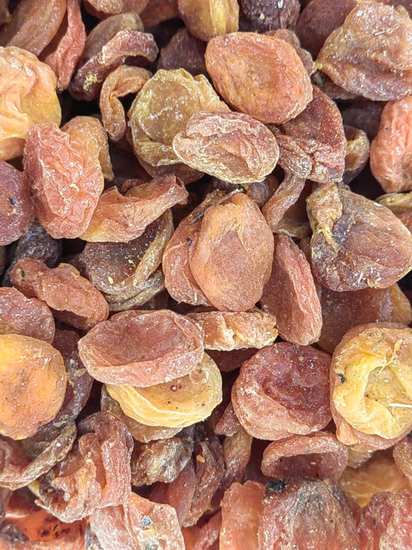 تۆنێک قەیسی وشککراوی کرم لێدراو و 150 کیلۆ ماسی خراپبوو دەستیان بەسەرداگیرا