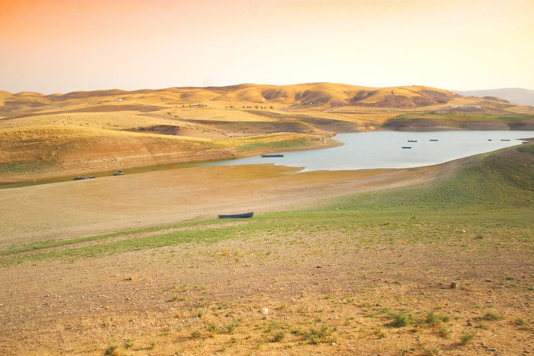 964 به‌دواداچوون بۆ له‌ناوچوونى سه‌دان ماسی له‌ ئاوى سیروان ده‌كات