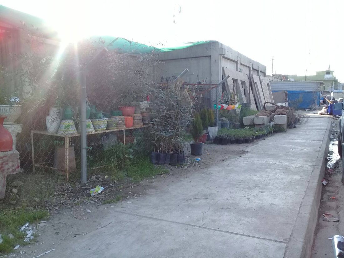 صور: بائع زهور يحوّل مدرسة في آلتون كوبري إلى مشتل.. ”مهجورة منذ 12 عاماً“