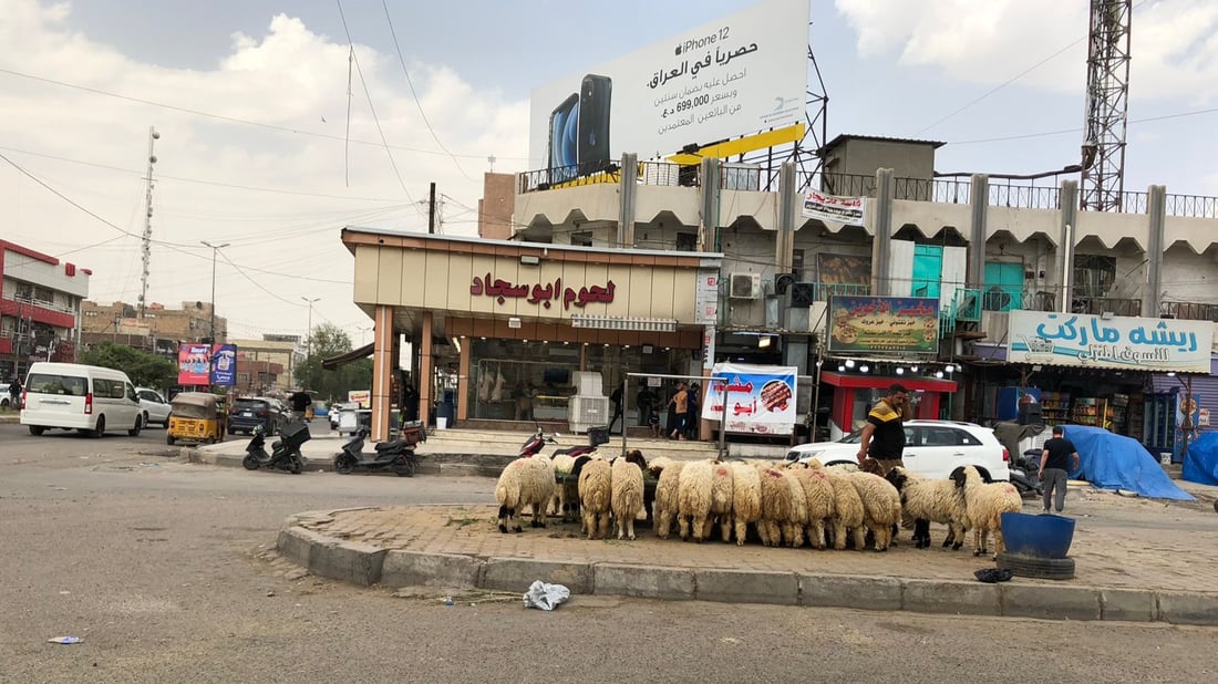 بغداد: سايبا تجر حصاناً مع صور “غريبة” كثيرة.. ماذا يحدث في شرق القناة؟