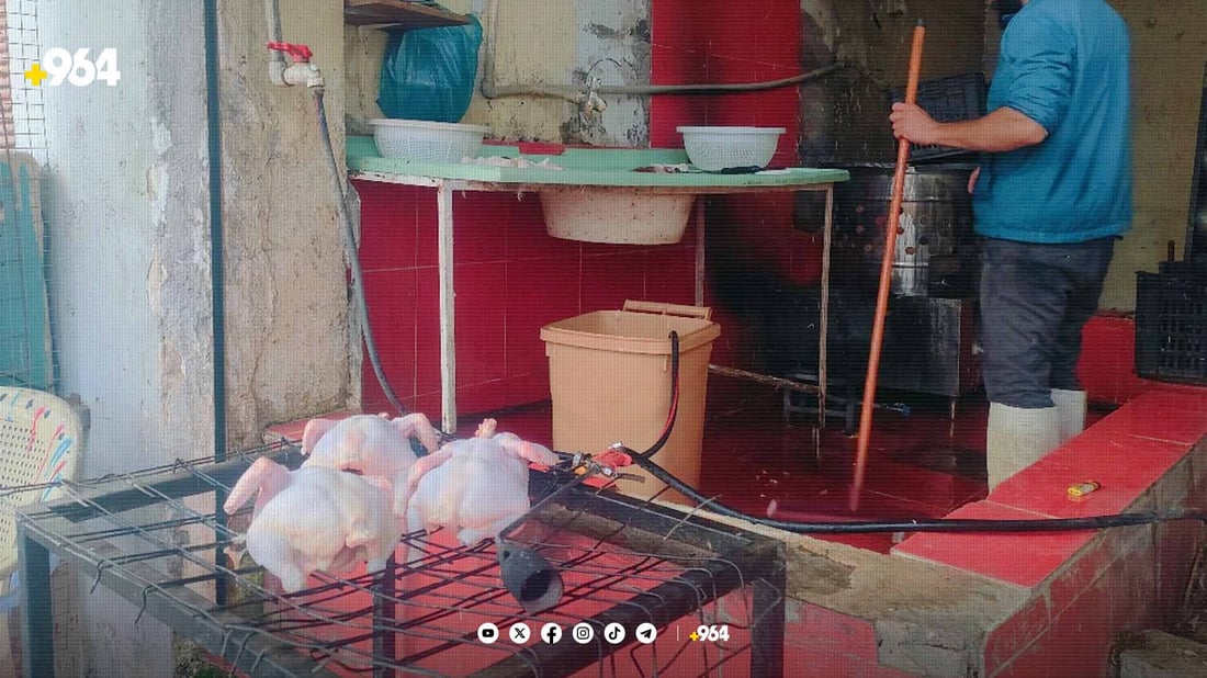 مریشک بە هەزار دینار پاک بکەن و زیاتر وەرنەگرن