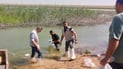 صور: الزراعة تطلق 11 مليون سمكة في بحيرة عنة بالأنبار
