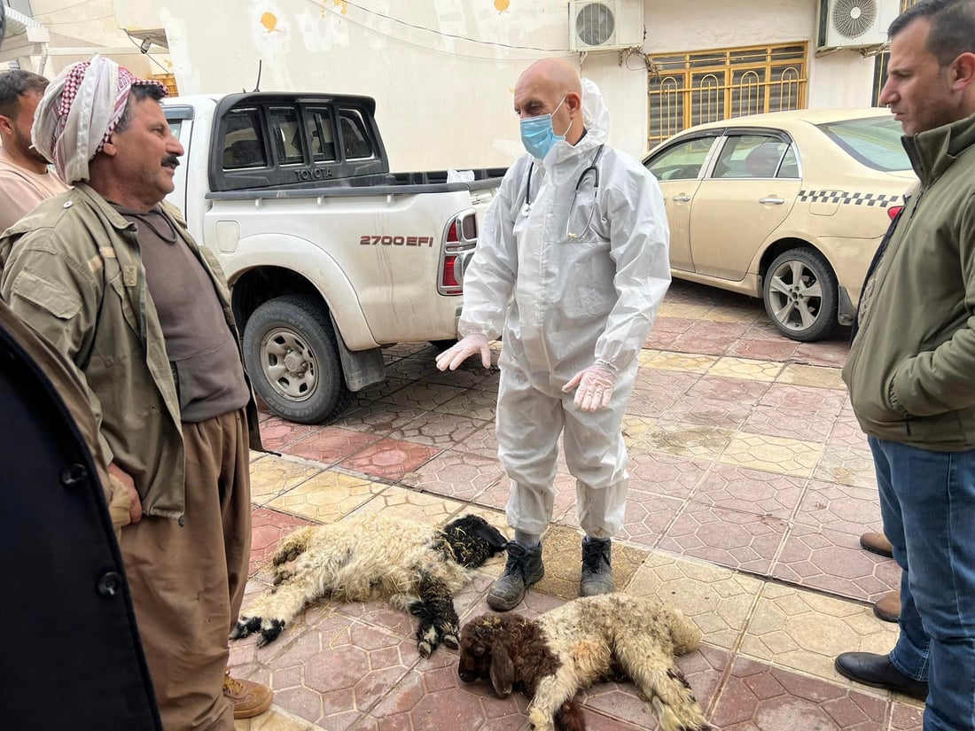 ڤێتێرنه‌رى دهۆك خزمه‌تگوزارى رۆژانه‌ى بۆ ئاژه‌ڵان هه‌یه‌