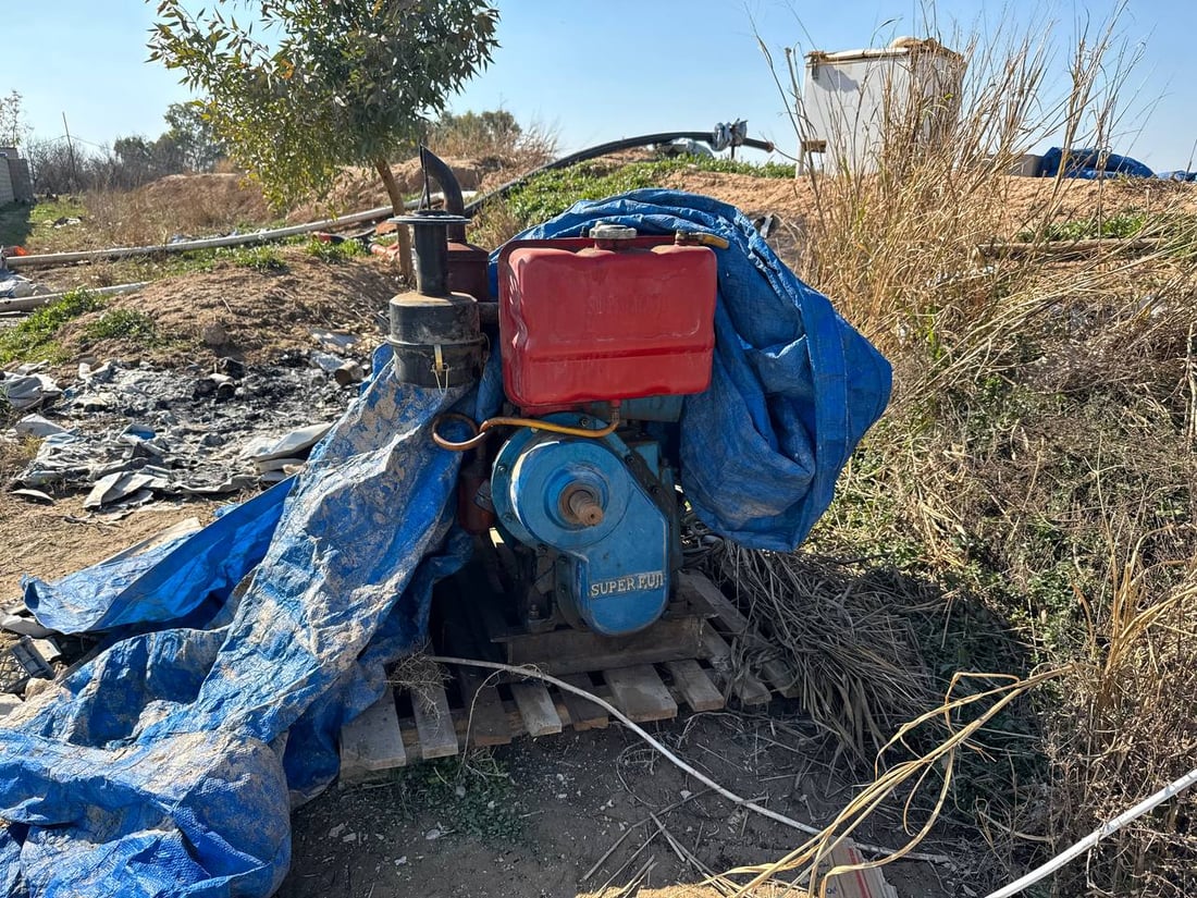 کارەبای حەوزە ماسییەکانی خانەقین بڕاوە و خاوەنەکانیان سەرگەردان بوون