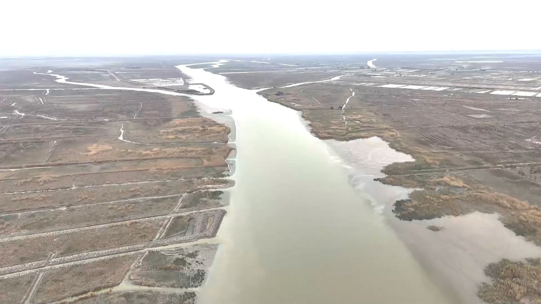 Basra’s resilient marshes draw visitors despite decades of environmental threats