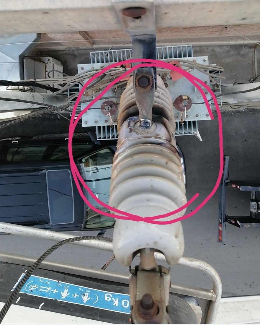 پشیلەیەک کارەبای گەڕەکێک دەکوژێنێتەوە